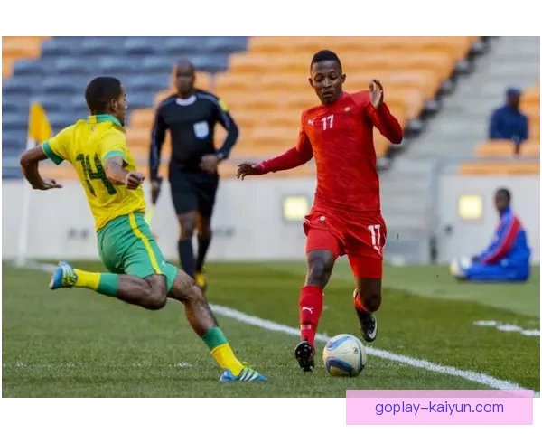 非洲杯转播平台