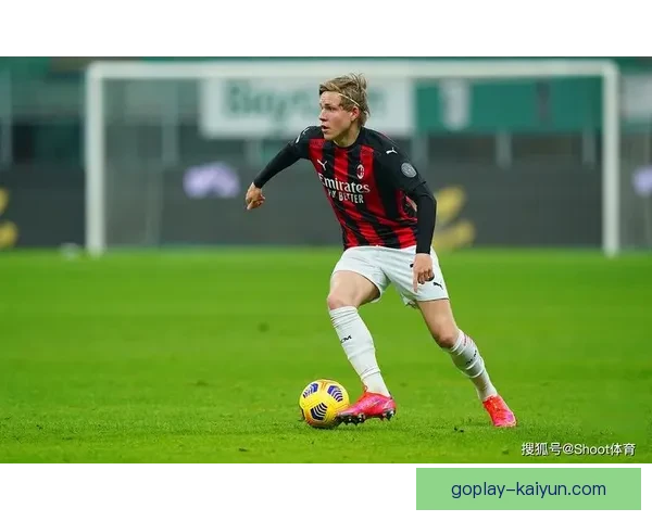 格纳布里状态回暖，近期表现稳健，引发媒体关注