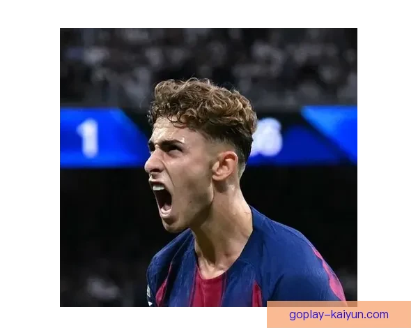 费尔明的表现稳健，持续受到各方关注与期待