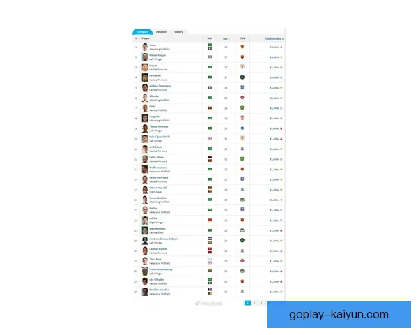 布鲁诺的成长经历：从青训小将到足球明星的励志之路